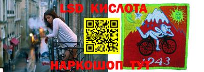 spice Кимры