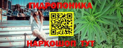 гидра Кингисепп