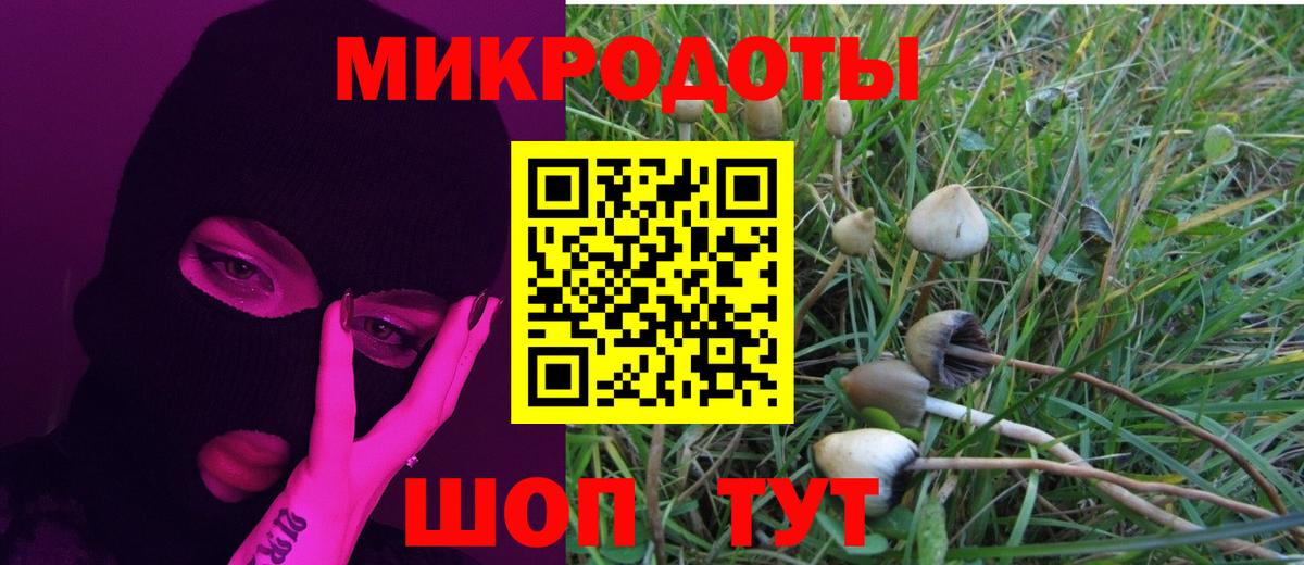 как найти   Галлюциногенные грибы ЛСД  Вход с VPN  Лесозаводск 