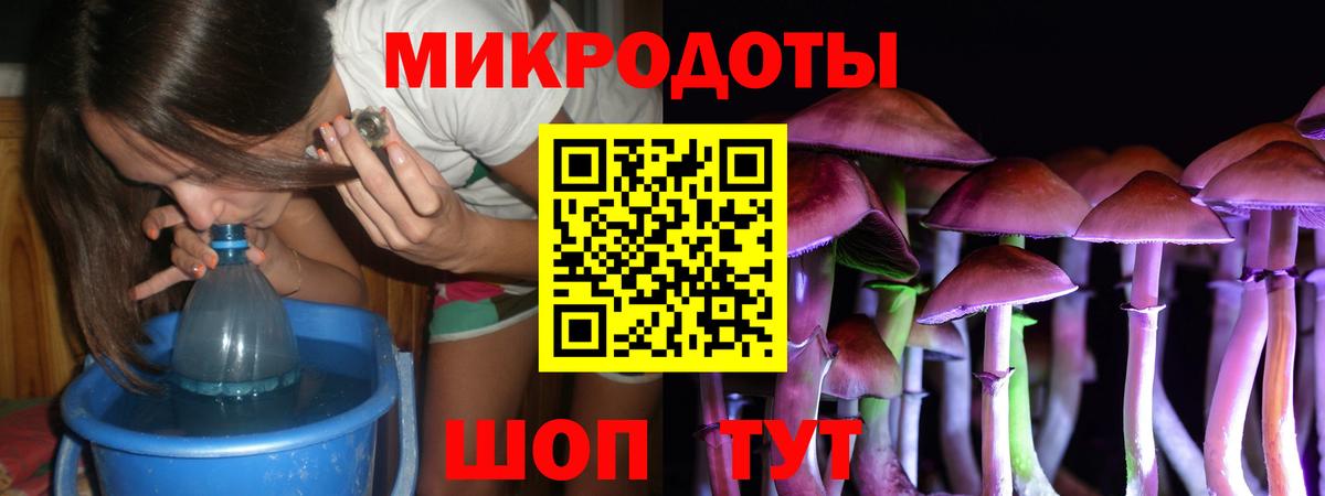 Псилоцибиновые грибы Psilocybe Лесозаводск